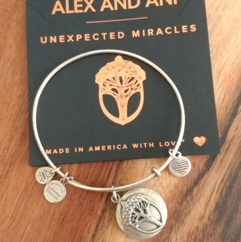 Alex and Ani Unexpected Miracles Acorn Bracelet